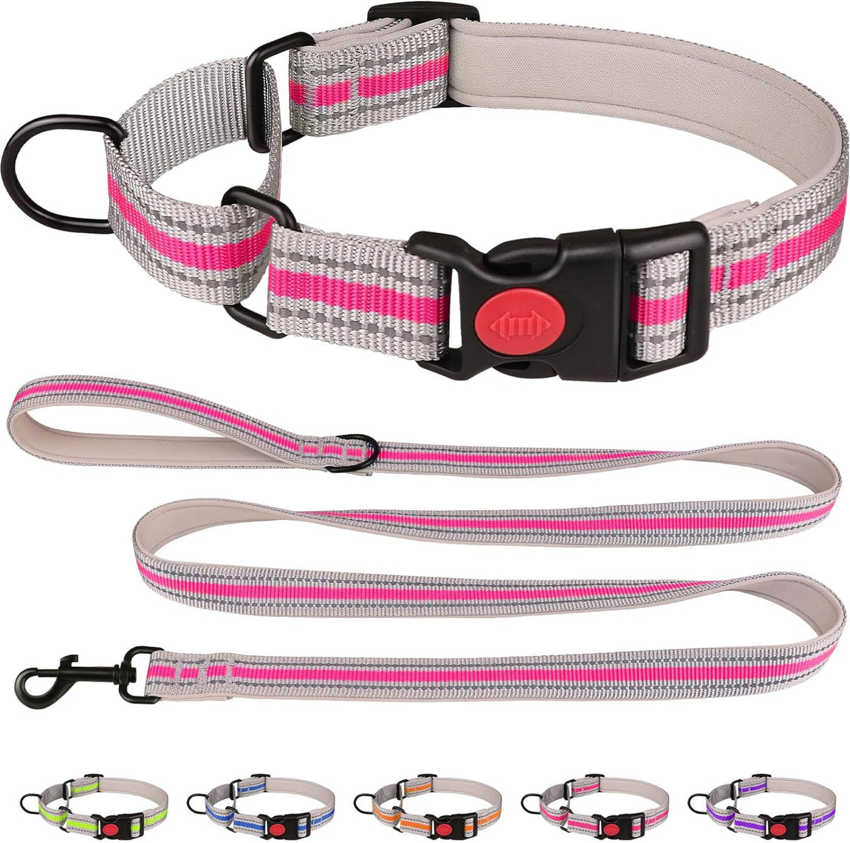 QDYU martingale dog collar and leash set front view hotpink training collar