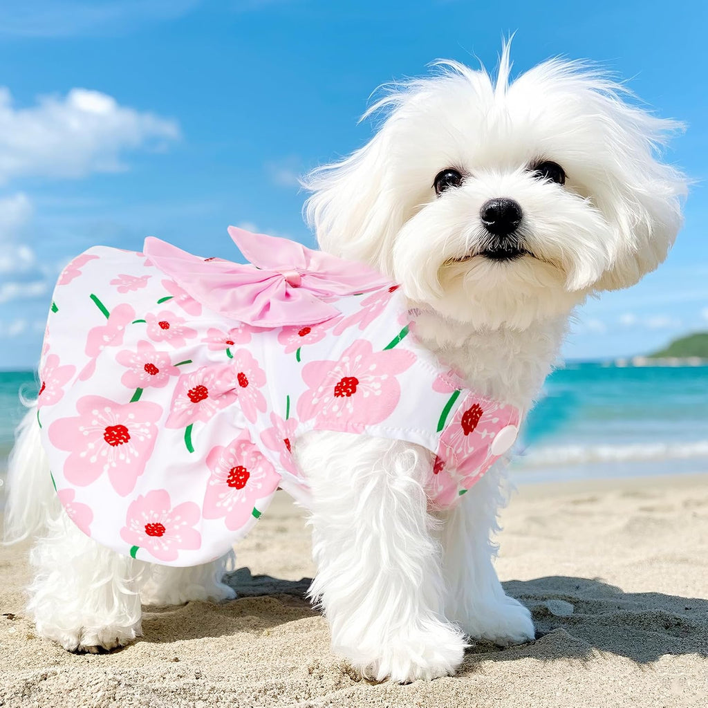 Small dog wearing breathable summer pet apparel