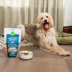 Open Farm freeze dried complete meal or mixer bag seventeen point five ounce size