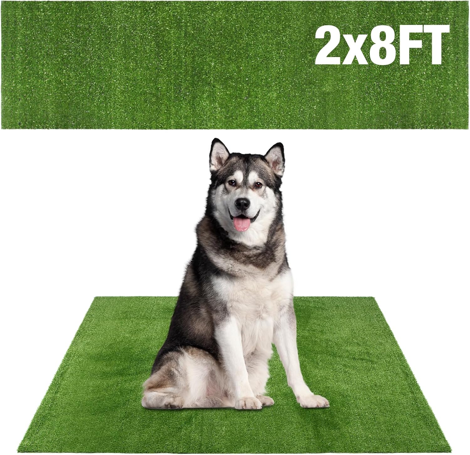 GLOBREEN Grass Pad for Dog Large Size - 2FTx6FT, Dog Potty Training Turf, Indoor Outdoor Pets Pee Fake Grass for Balcony Patio Yard - Image 12