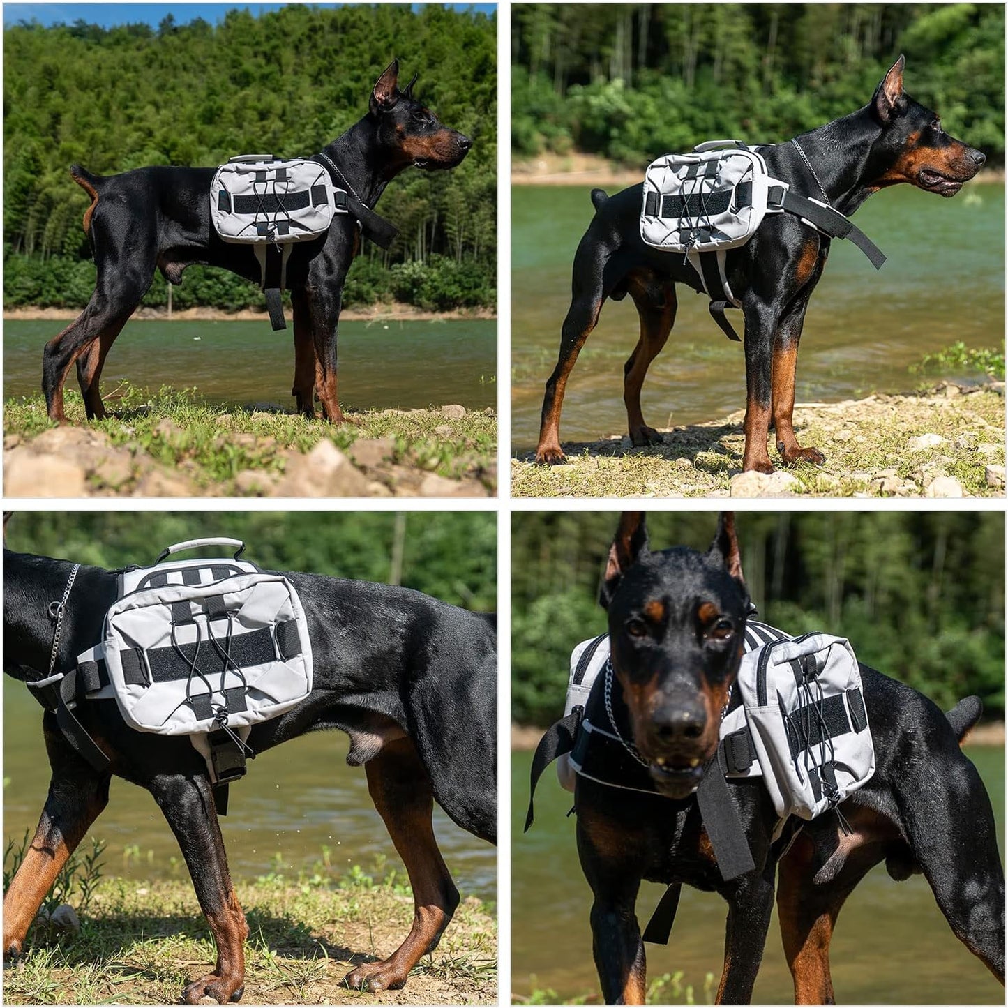 Gray medium dog backpack adjustable straps and flexible buckle details