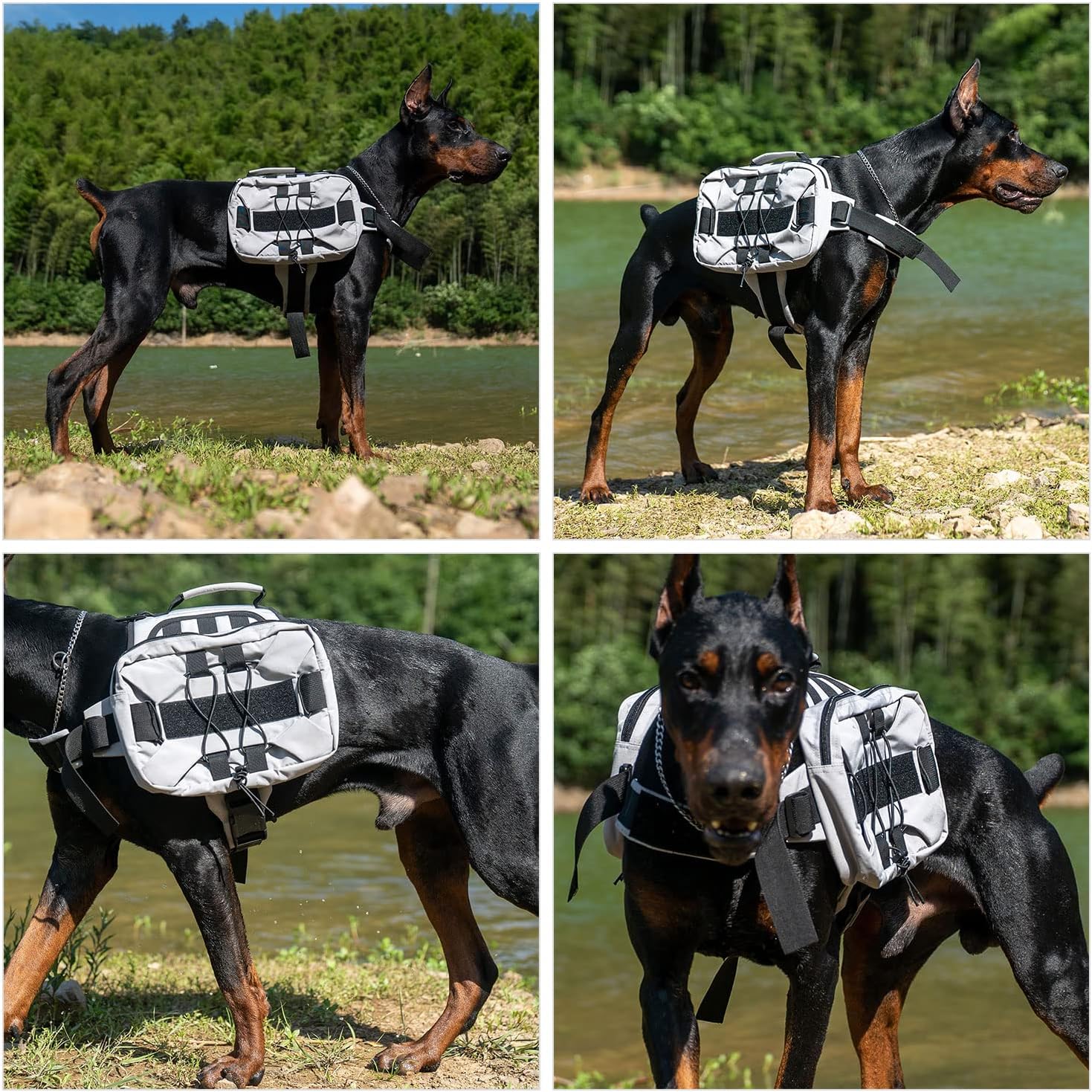 Gray medium dog backpack adjustable straps and flexible buckle details