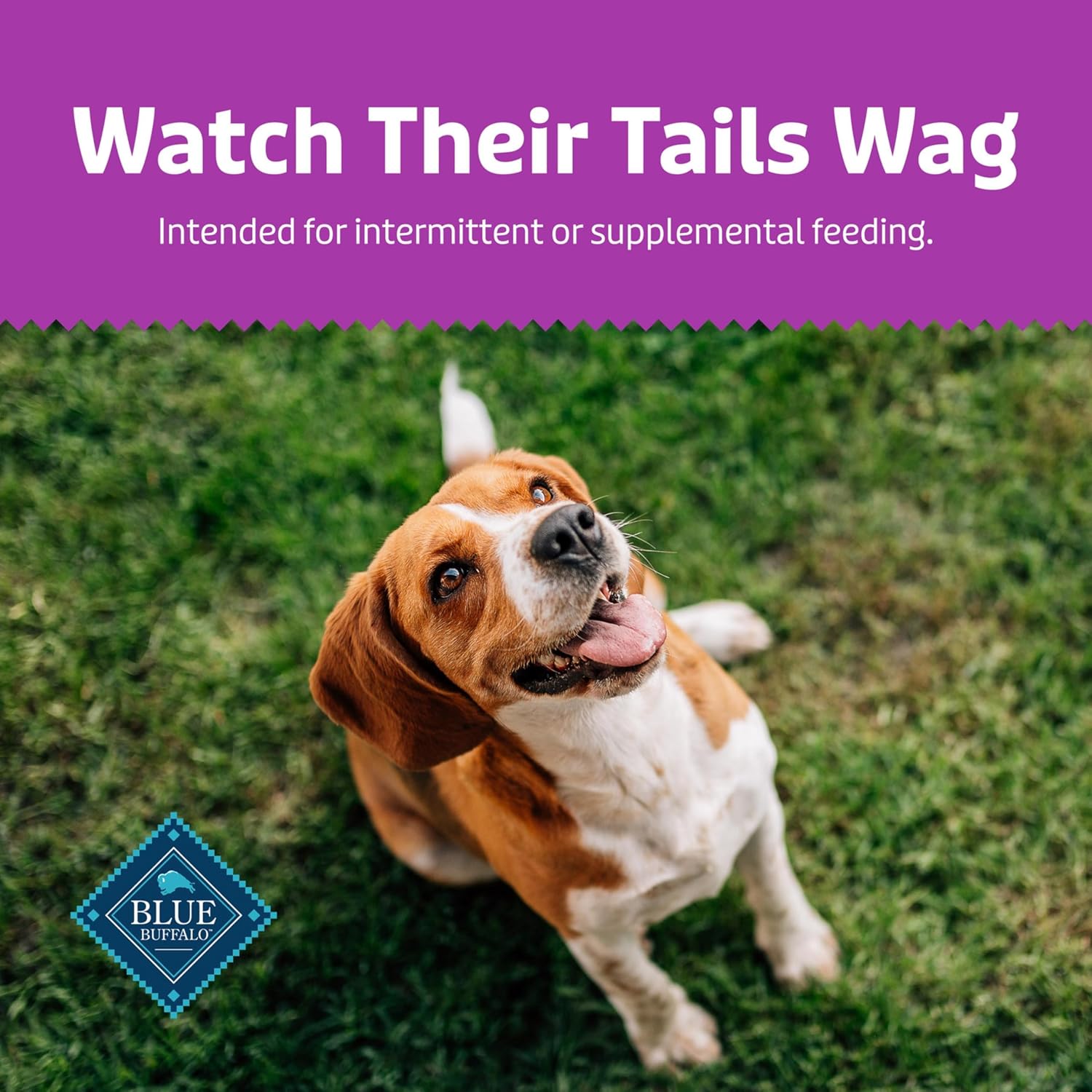 Natural Soft Bacon Dog Treats Without Artificial Preservatives
