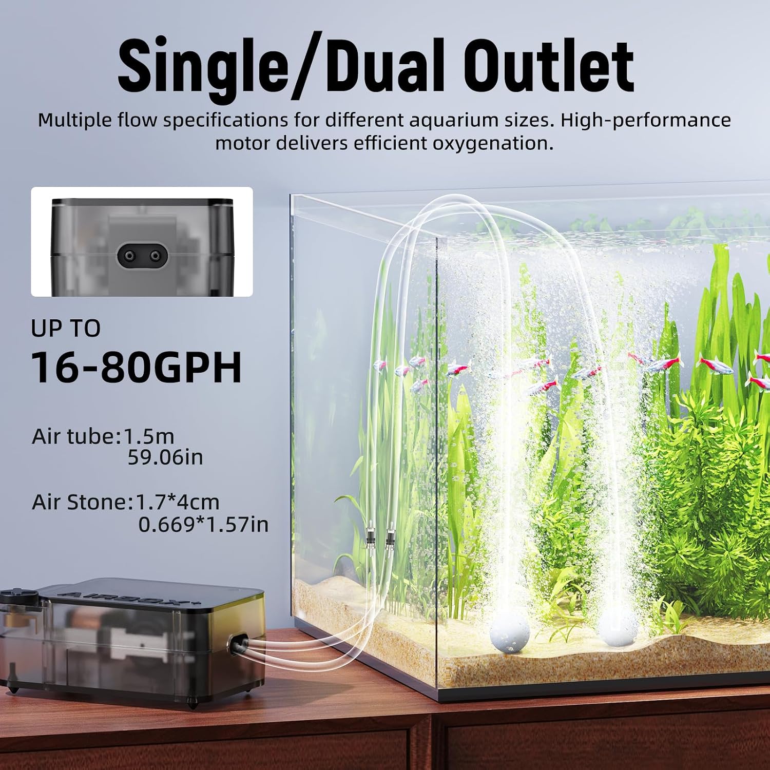 Aquasmith quiet aerator setup in a 30 gallon fish tank