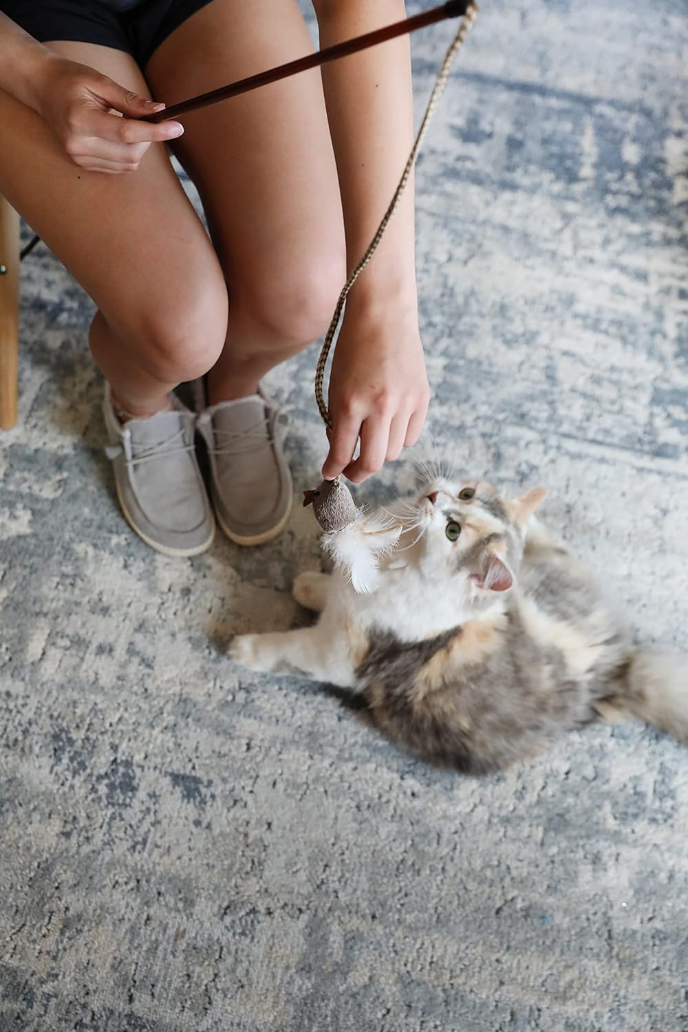 Our Pets Play-N-Squeak cat toy dangling plush mouse and dynamic feathers