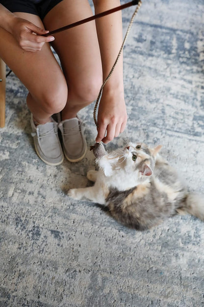 Lightweight catnip infused pet wand toy being waved to stimulate hunting instincts.
