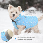 Cozy snow jacket vest for small dogs featuring dual D rings