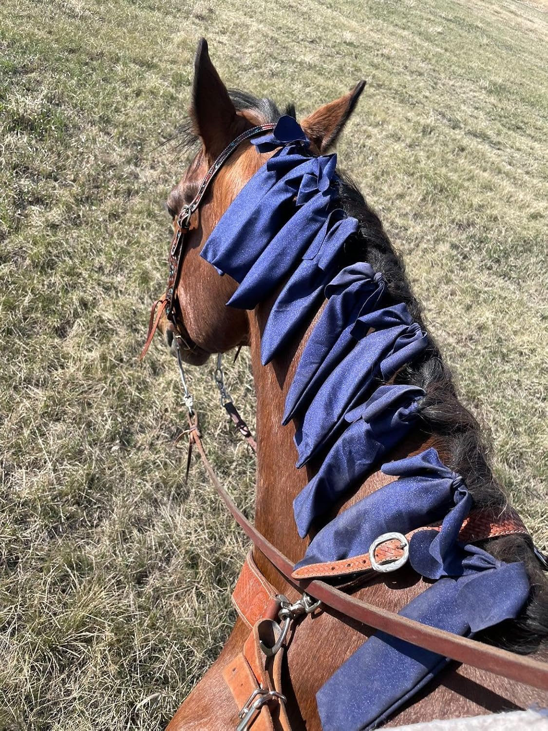 Dark blue horse mane bags for competition and stable grooming