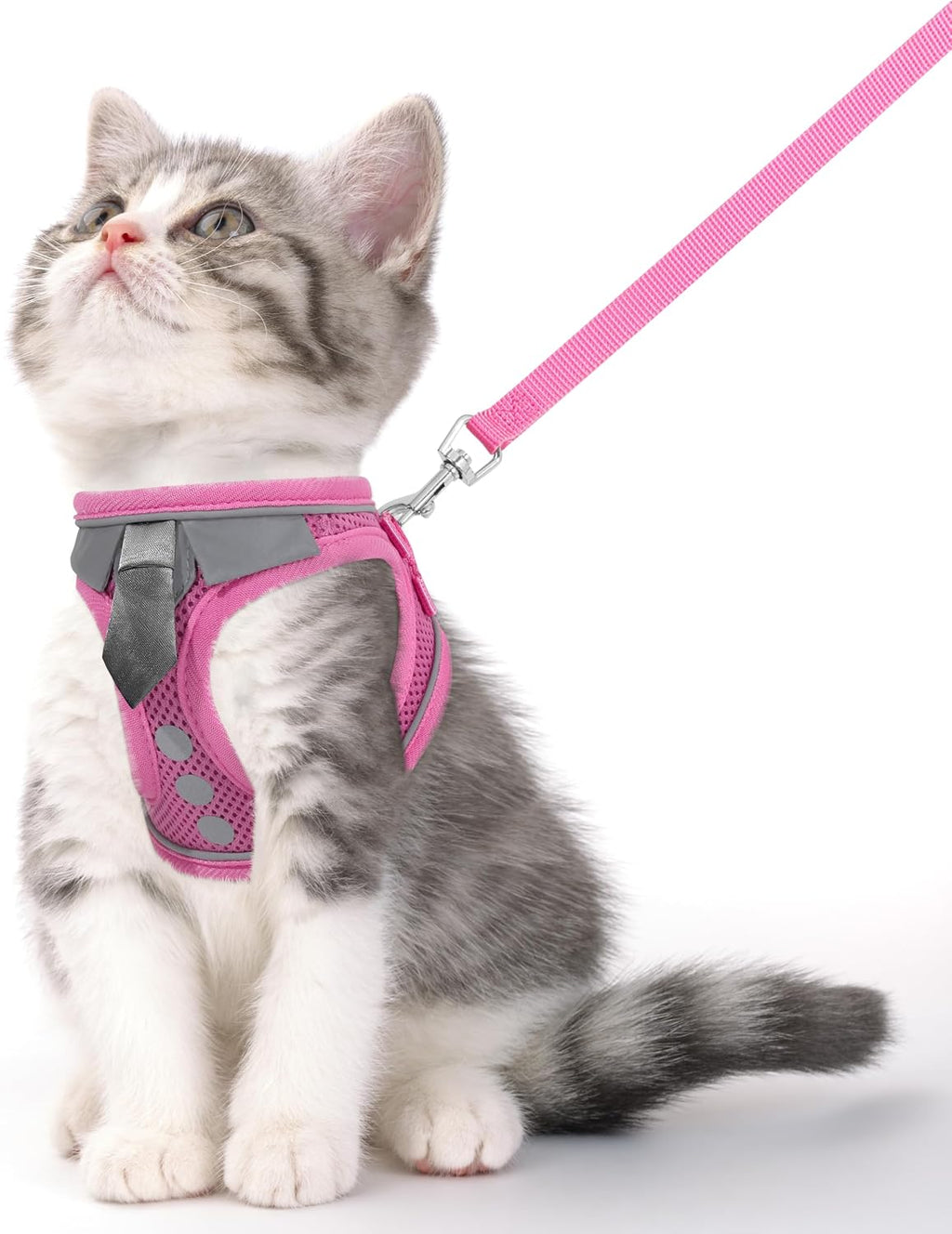 Cat Harness and Leash Set for Walking Escape Proof, Soft Adjustable Kitten Harness Breathable Mesh with Reflective Strips Harness for Kitty Puppy Bunny(Black,XS) - Image 11