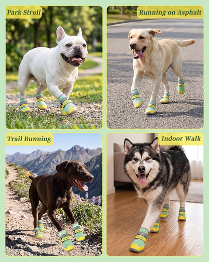 Dog wearing Huafly summer boots on outdoor surface