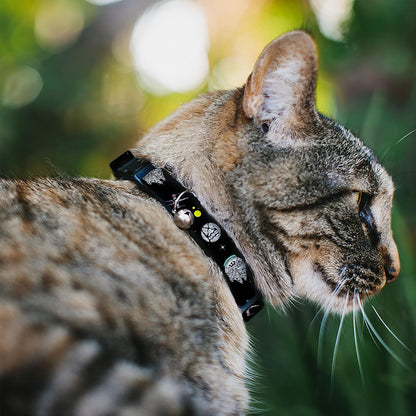Star Wars breakaway cat collar black polyester webbing detailing Death Star graphics