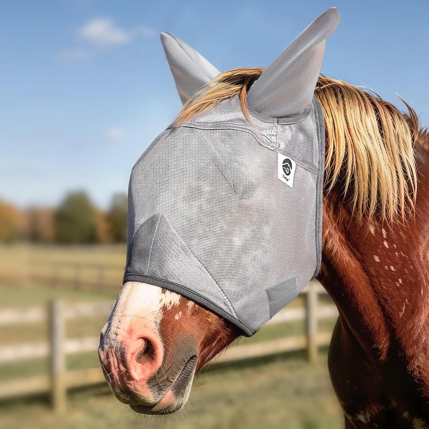 Raelitego horse fly mask with ears front view for insect protection