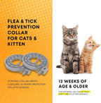 Adjustable ProElobara flea collar for cats close up