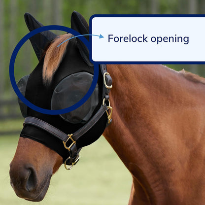 SmartEquine horse mask showing forelock hole detail