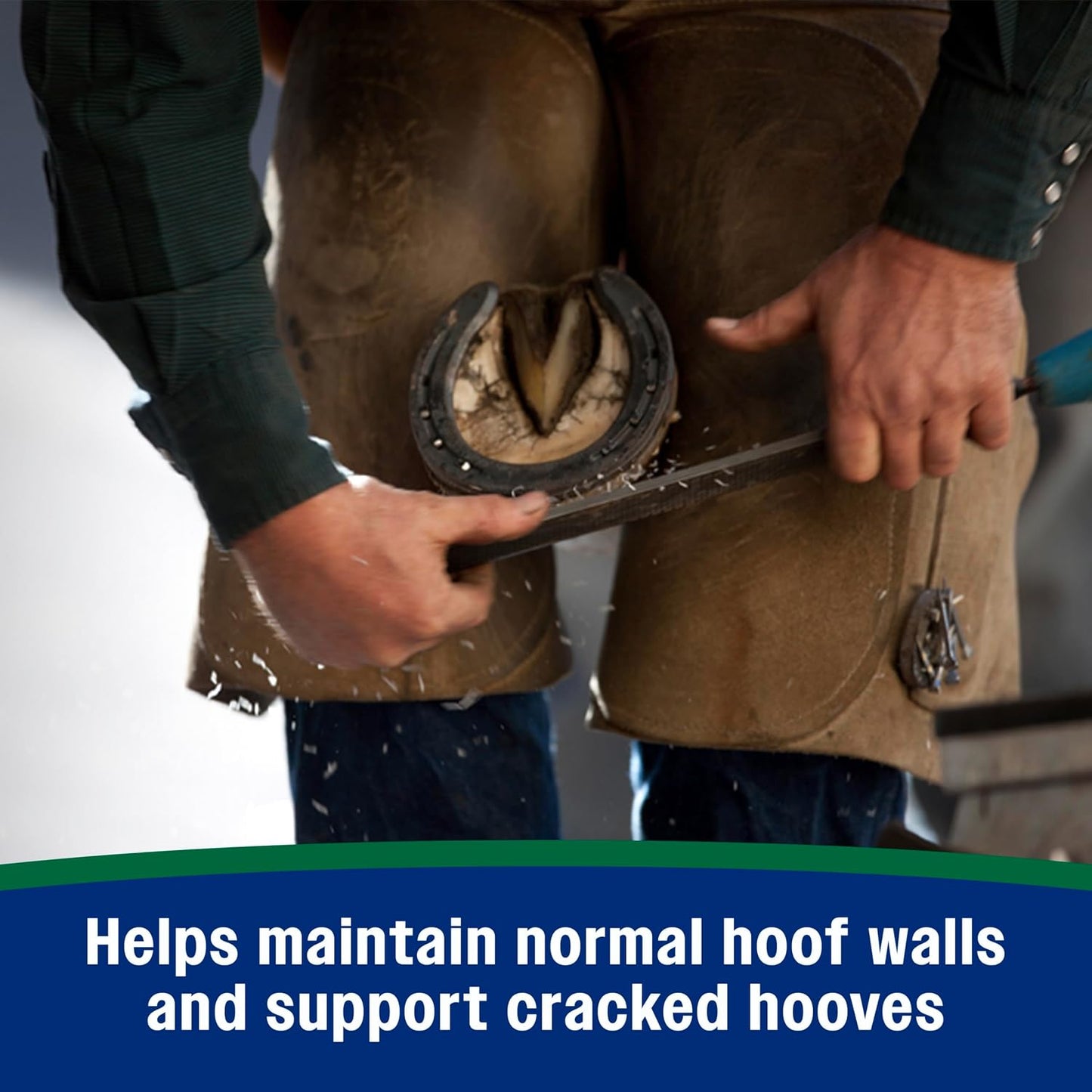 Nutrient-rich formula containing copper and zinc for strong hoof walls