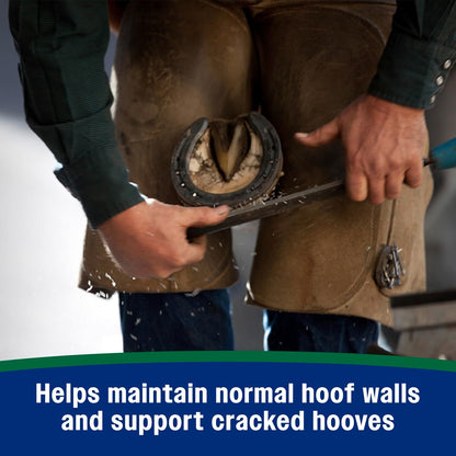 Nutrient-rich formula containing copper and zinc for strong hoof walls