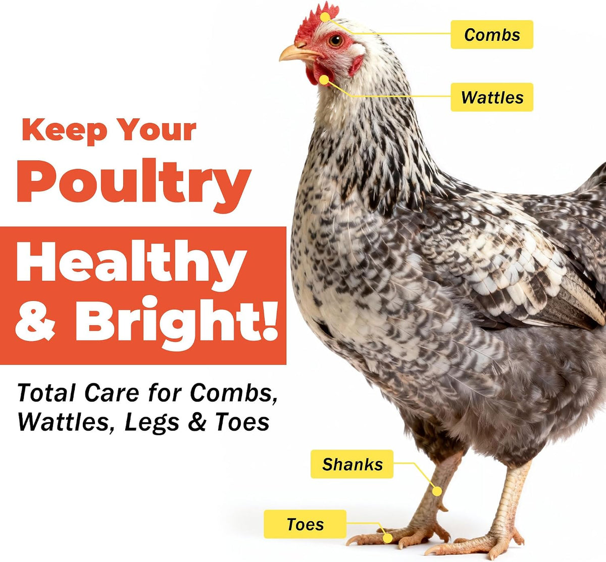 Close up label details of chicken respiratory health supplement