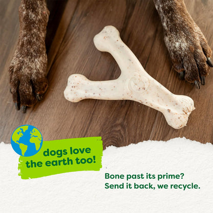 Dog Bones for Modest Chewers: Benebone Green Plant-Based Real Bacon Wishbone Dog Chew Toy for Medium Dogs, Made in USA - Image 6