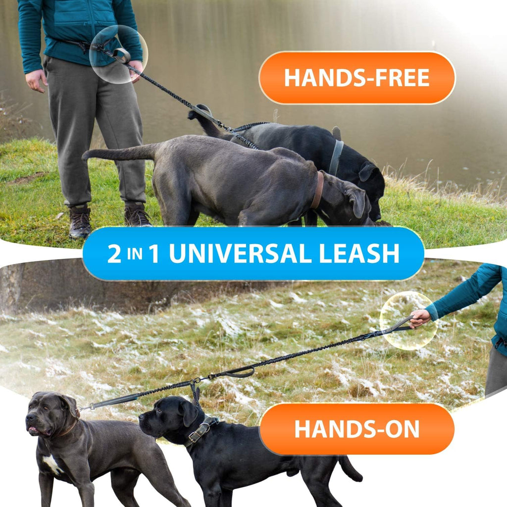 SparklyPets heavy duty double leash for two medium and large dog breeds