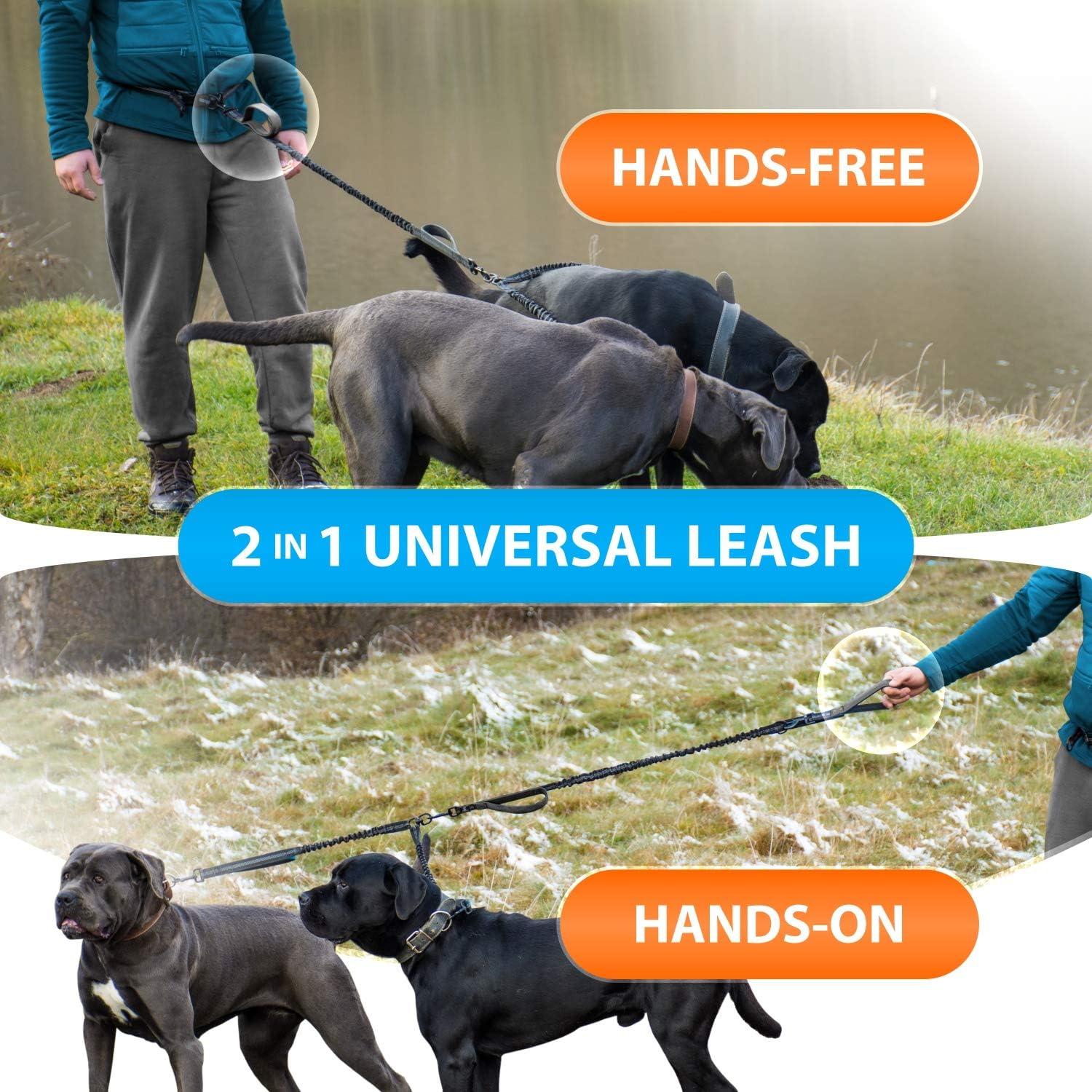 SparklyPets heavy duty double leash for two medium and large dog breeds