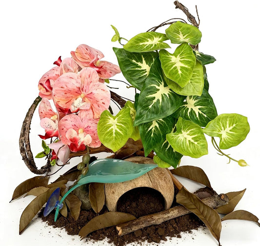 Gluzoo 5 Piece Crested Gecko Tank Decor Kit front view