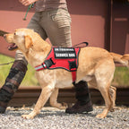 Breathable soft mesh lining and top control handle detail on the MOOGROU adjustable dog vest