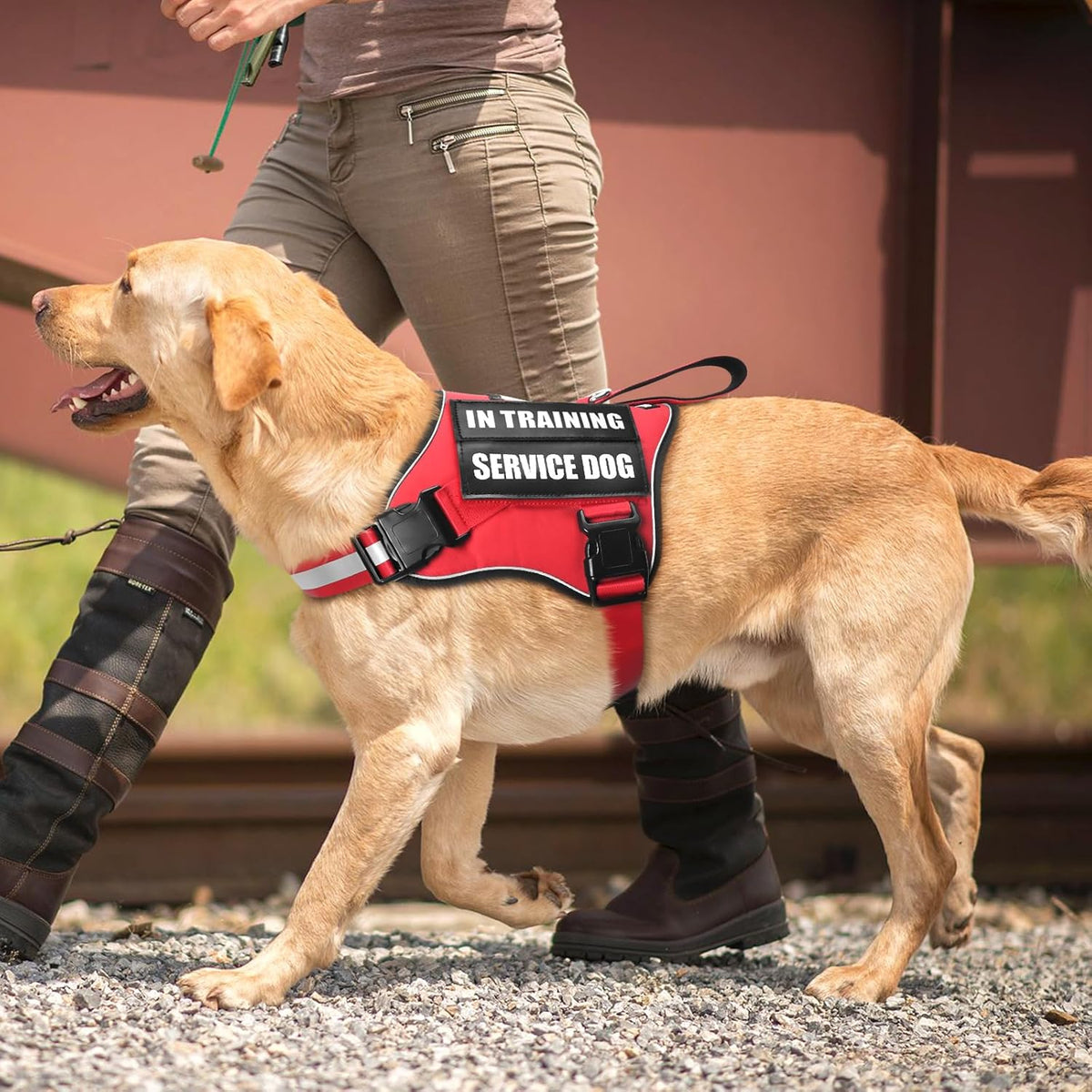Breathable soft mesh lining and top control handle detail on the MOOGROU adjustable dog vest