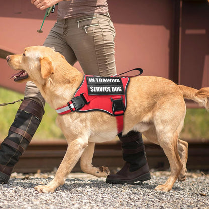 Breathable soft mesh lining and top control handle detail on the MOOGROU adjustable dog vest