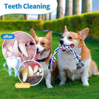 Vibrant blue and green combinations of the WDZZHOT durable puppy rope toy set.