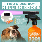 Angry Orange black light illuminating dried dog urine on carpet