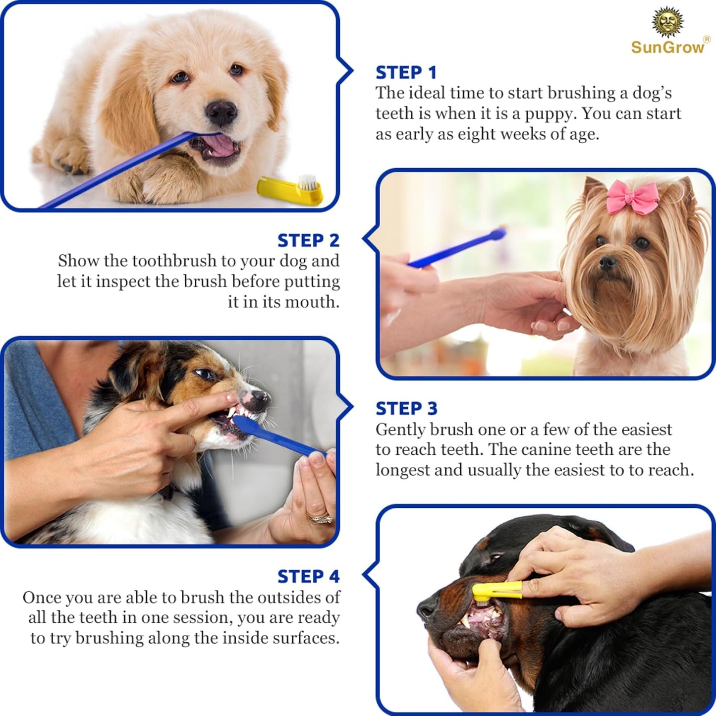 SunGrow small breed dog and cat toothbrush packaging displaying complete oral hygiene set.