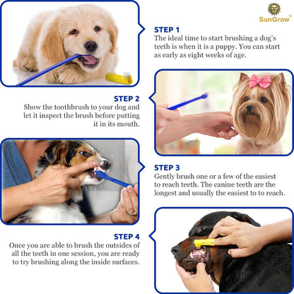 SunGrow small breed dog and cat toothbrush packaging displaying complete oral hygiene set.