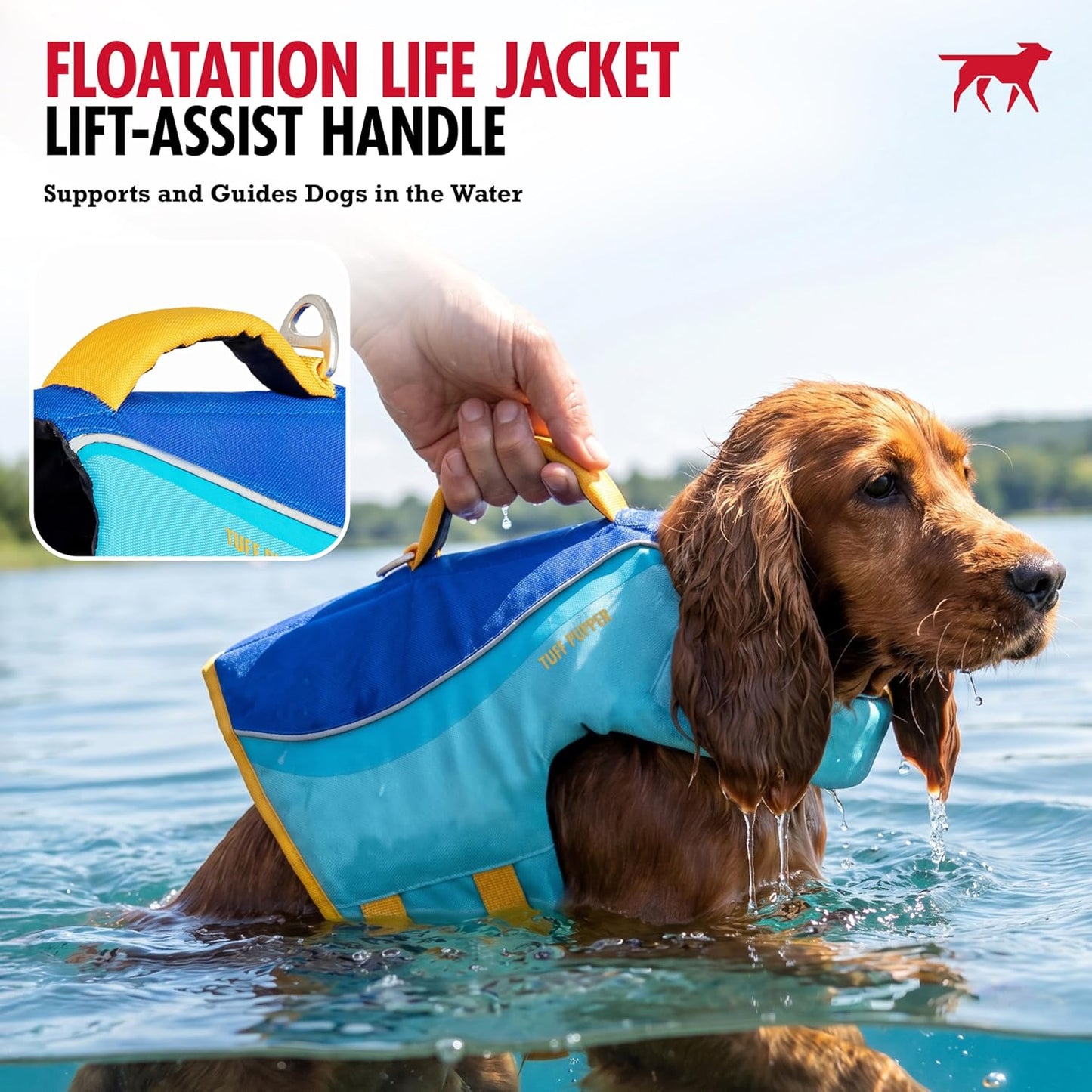 Reflective safety trim on small dog life jacket for night visibility