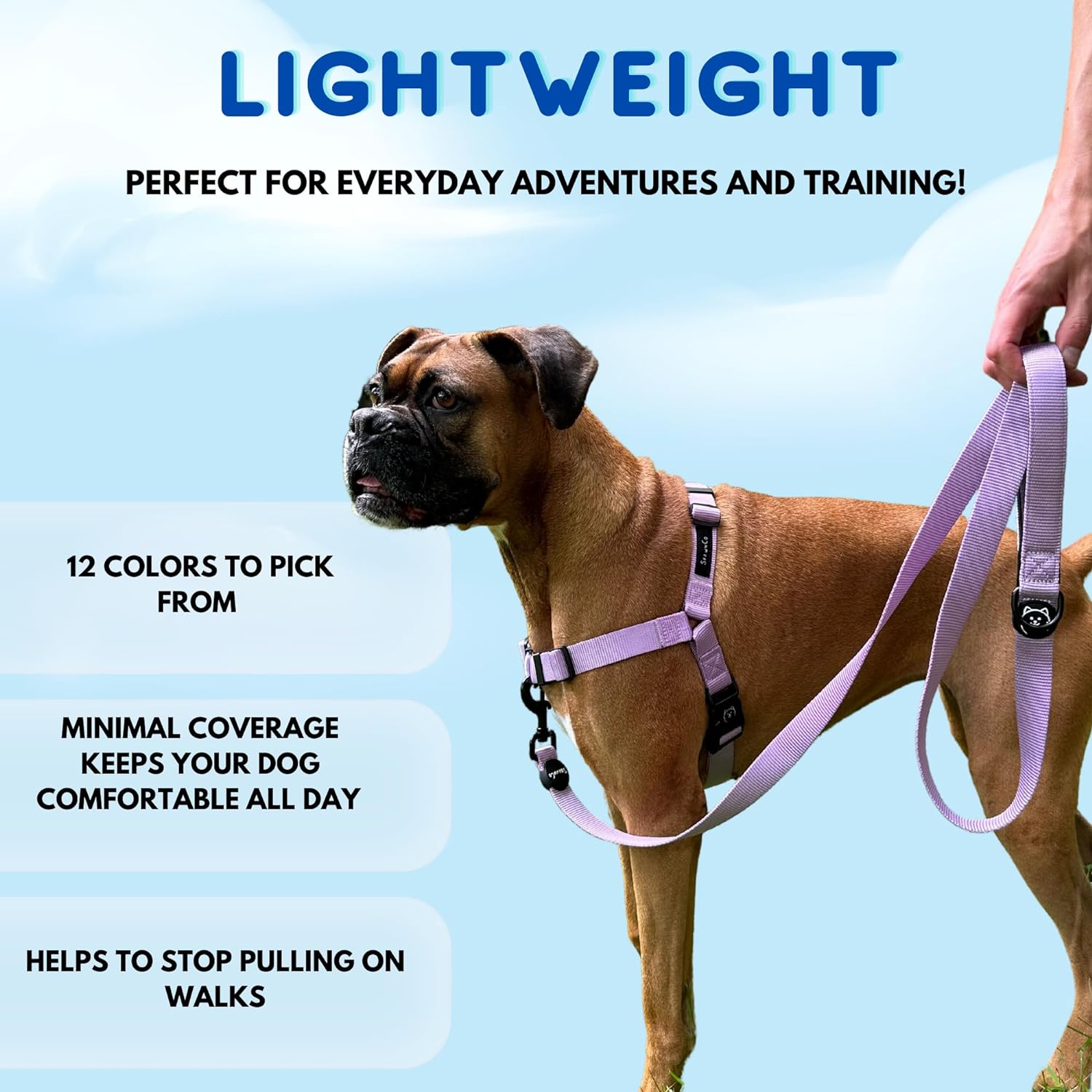 Back view of ShawnCo no-pull harness on a dog