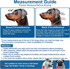 Adjustable nylon head halter side profile view on a small dog.