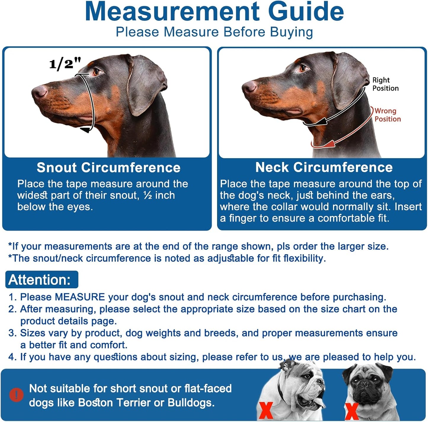 Adjustable nylon head halter side profile view on a small dog.