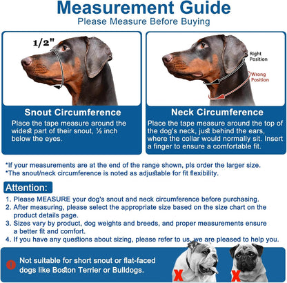 Adjustable nylon head halter side profile view on a small dog.