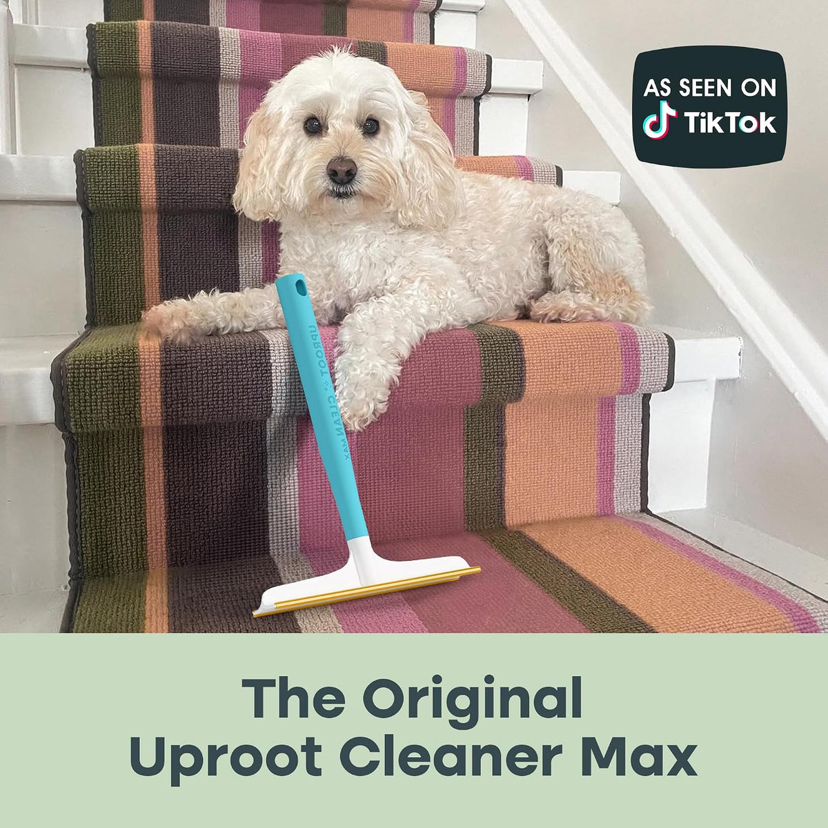 Uproot Clean Max removing cat hair from a sofa cushion