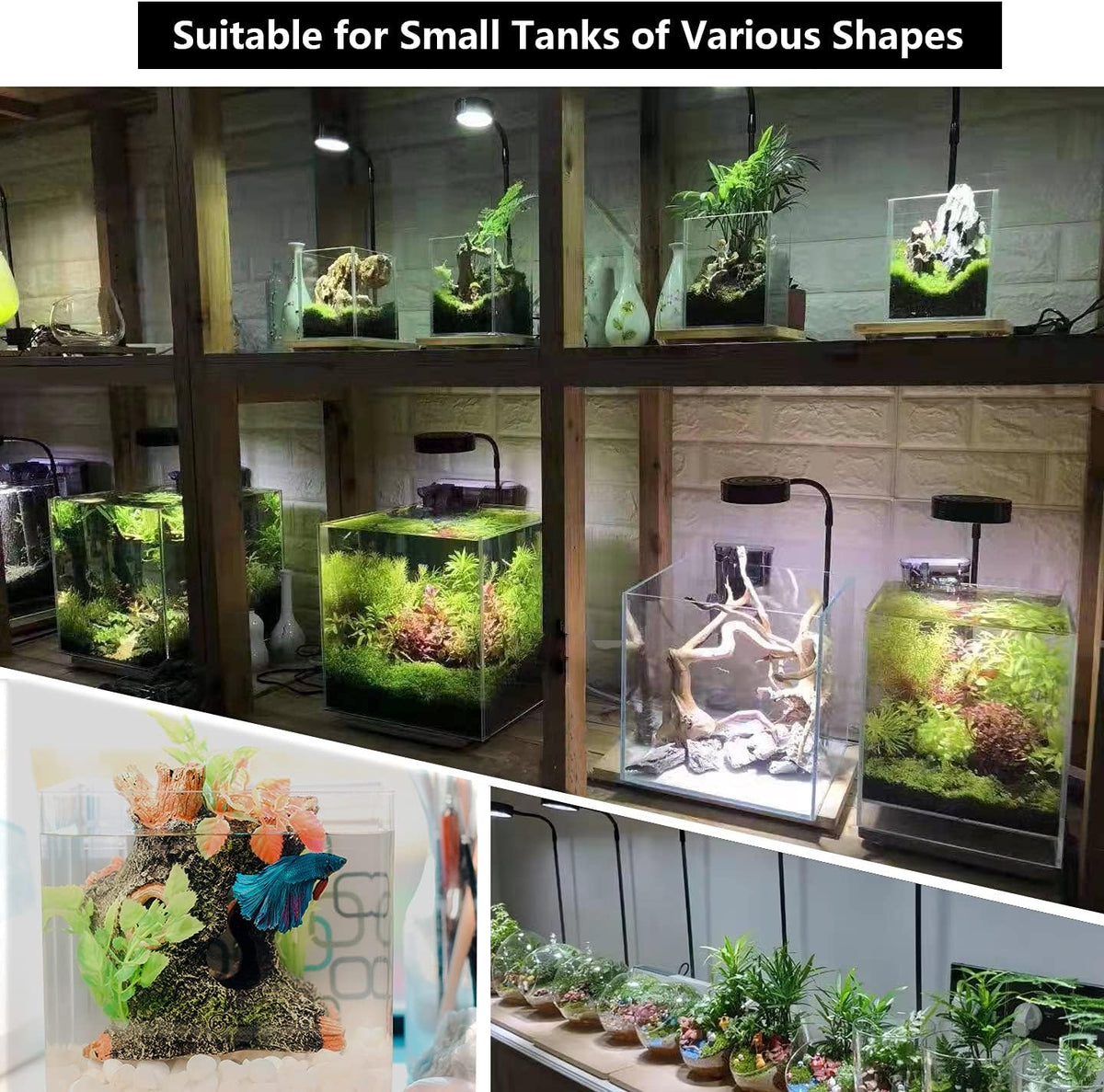 Arepk LED aquarium light gooseneck flexibility and design