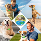 Trihood essential oil infused natural dog tag attached to a pet collar