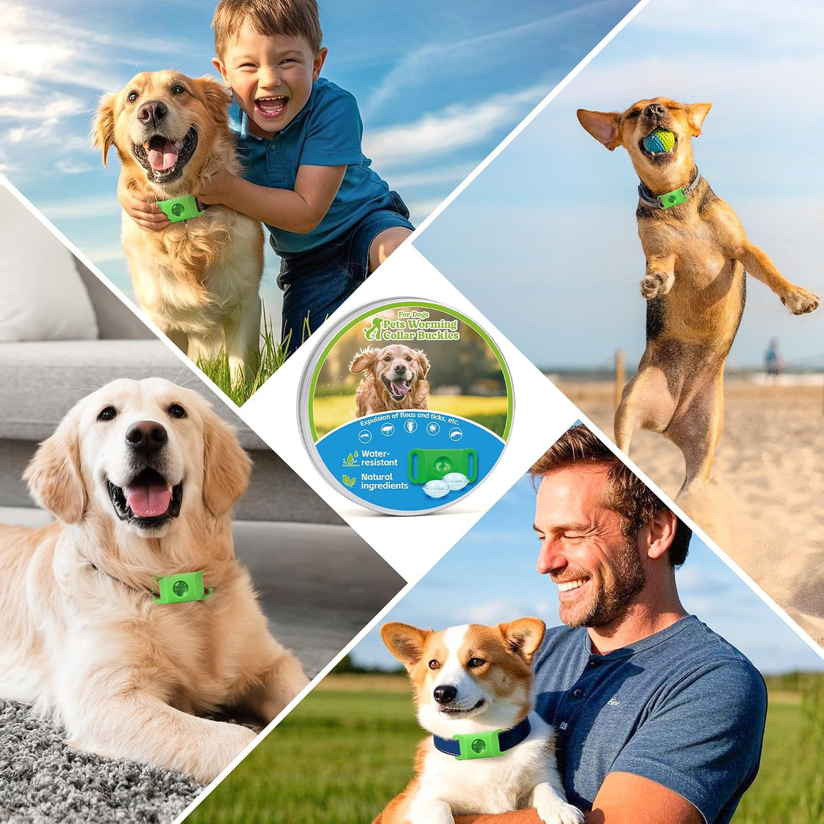 Trihood essential oil infused natural dog tag attached to a pet collar