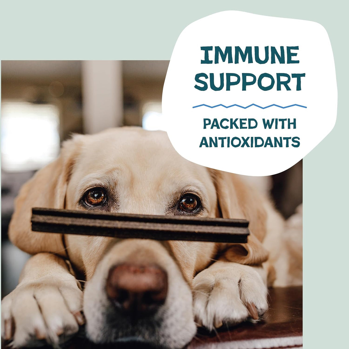 Shameless Pets dental chews package size comparison with small and large dogs