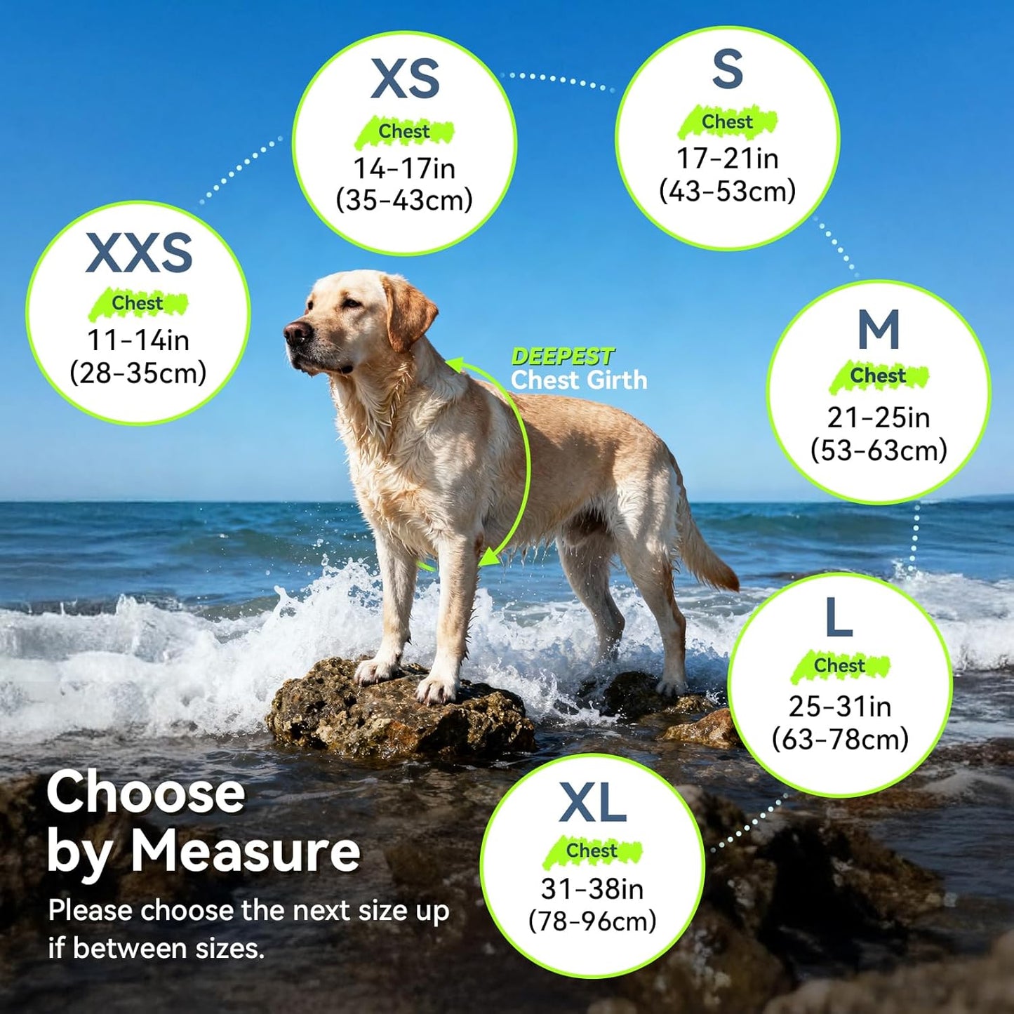 Vivaglory safety flotation vest for large dogs swimming in pool