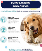Natural 6 inch elk antler chew for dogs