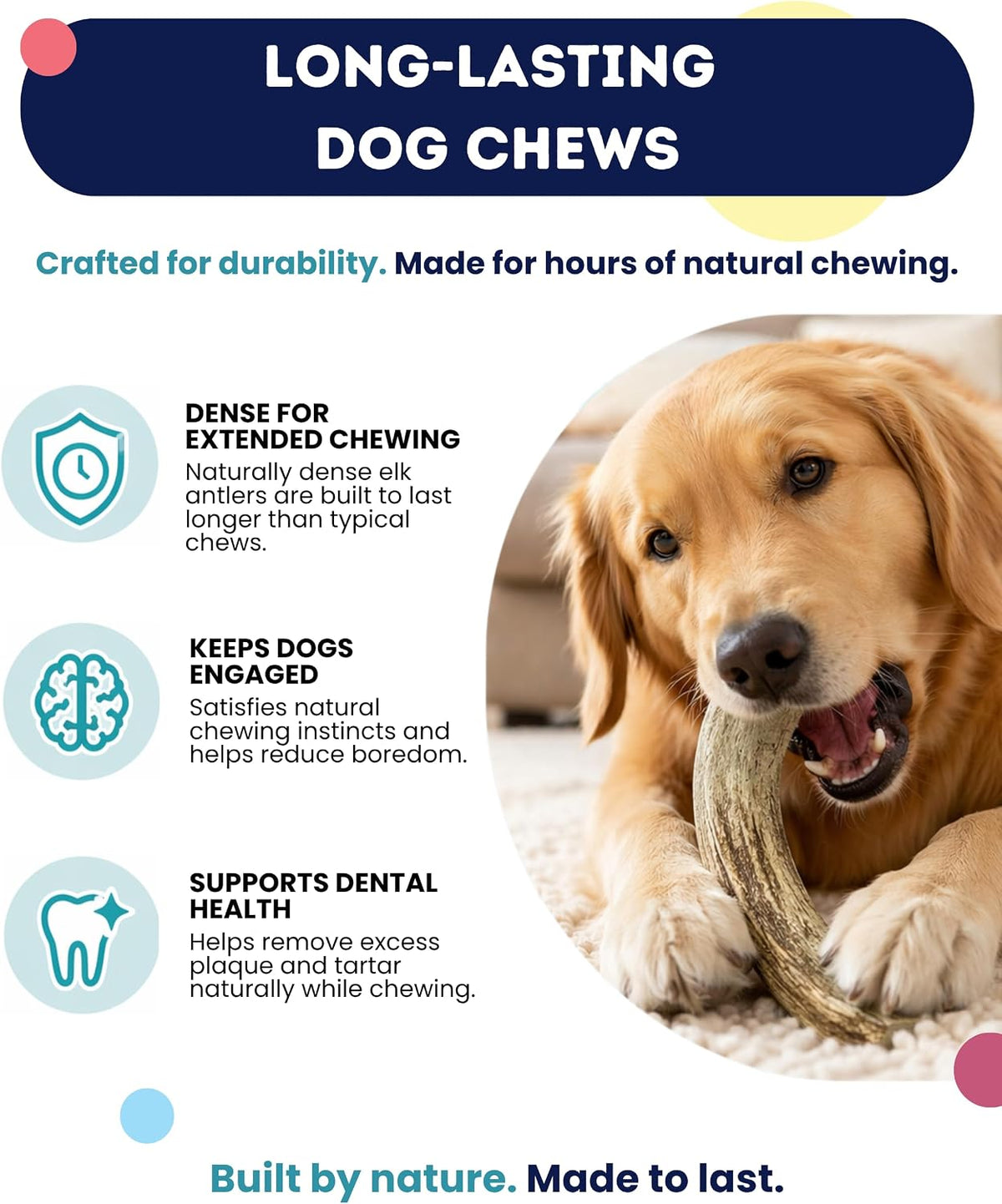 Natural 6 inch elk antler chew for dogs