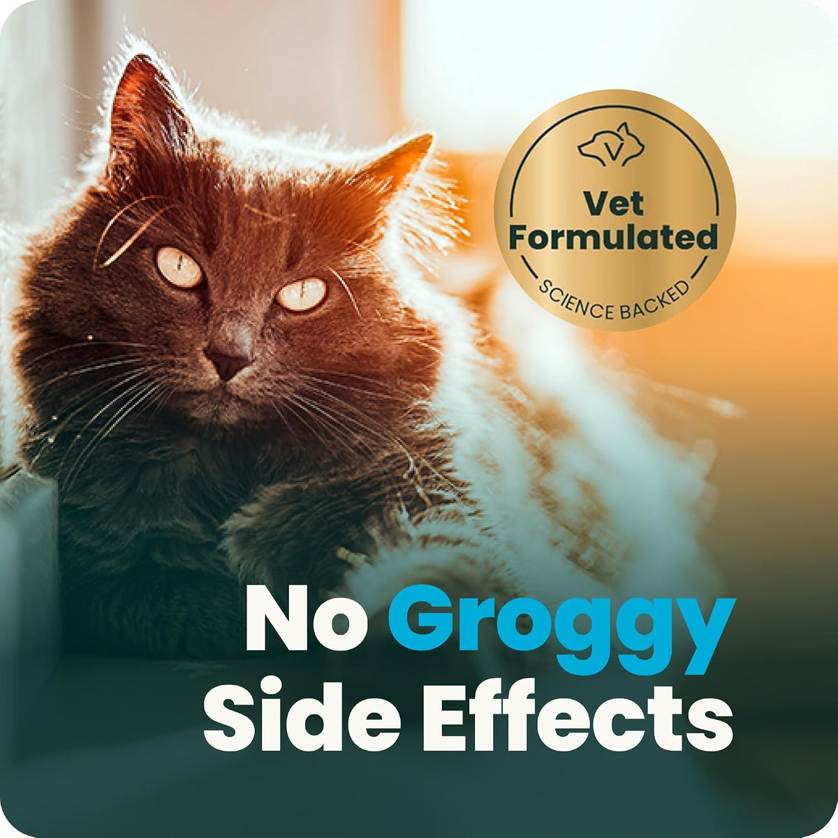 VetriScience authentic USA sourced pet anxiety supplement packaging
