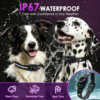 Remote control and training collar set for dogs