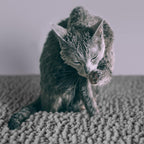 CatGuru medium gray cat litter mat backing detail
