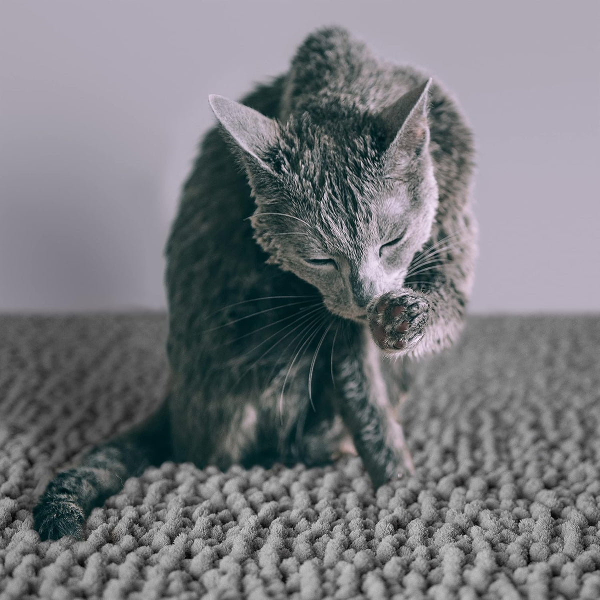 CatGuru medium gray cat litter mat backing detail