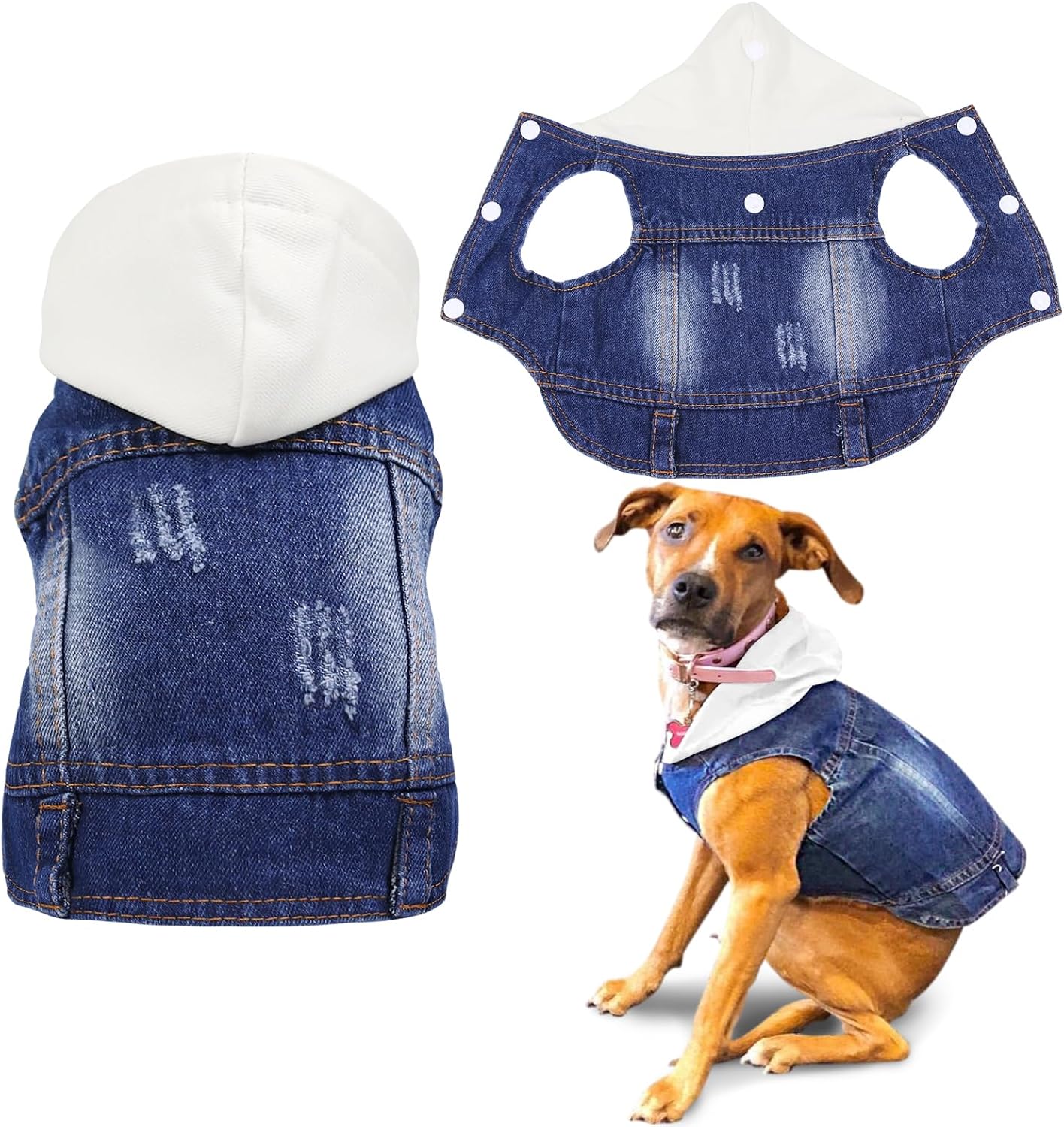 Small dog wearing the SILD classic hoodie denim jacket during an outdoor walk.
